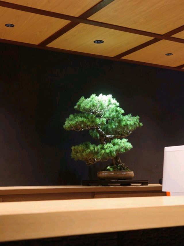 東京・盆栽咖啡體驗｜Bongen Coffee的療癒時光 