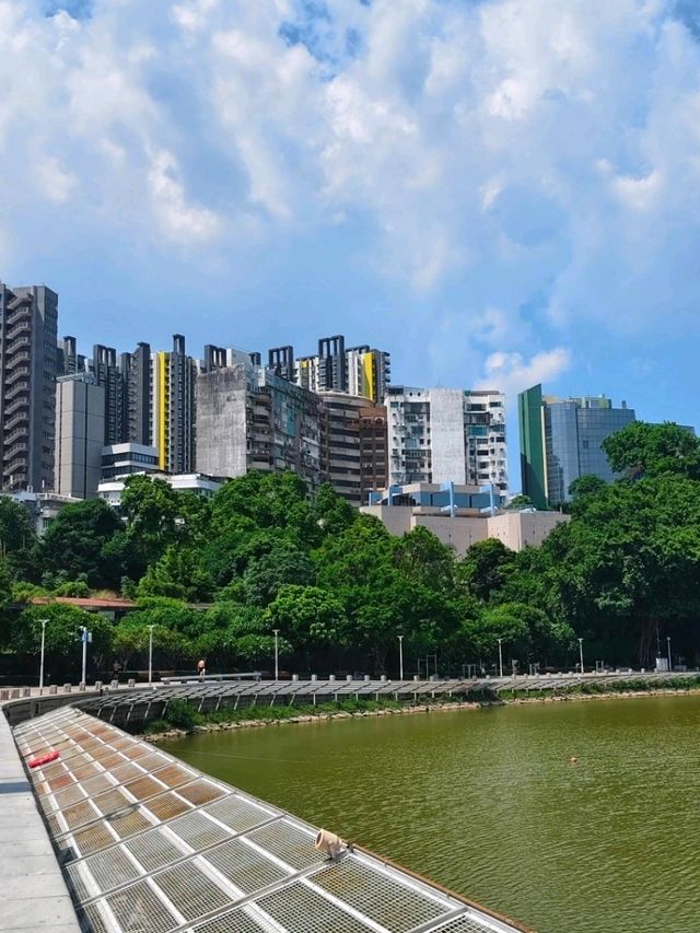 香港出發至澳門水塘公園交通攻略 