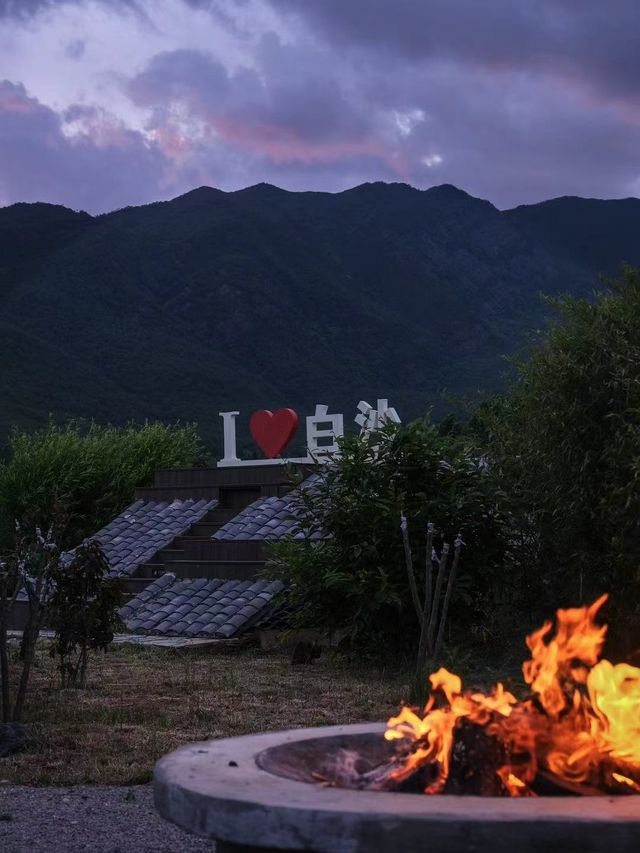 麗江民宿｜被貓貓接管的治癒系烏托邦