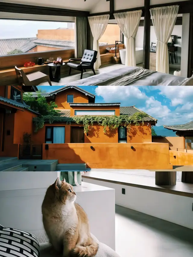 住進沙溪古鎮嘅治癒系民宿坡無是，彷彿時光都慢咗落嚟