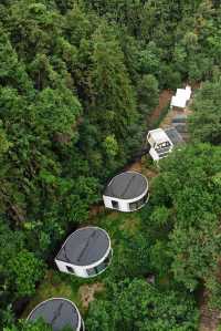 景德鎮美集·觀山月｜住進藝術山谷嘅夢中情「窩」
