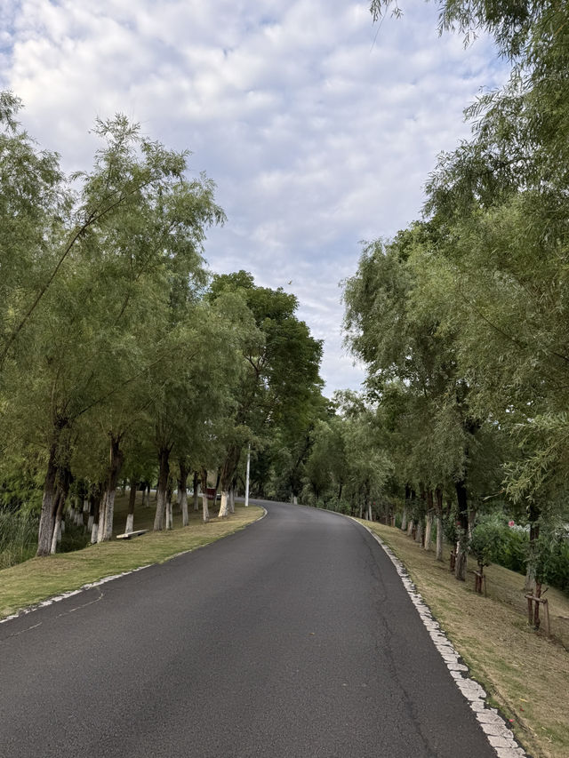 南昌艾溪湖濕地公園超全打卡攻略✨