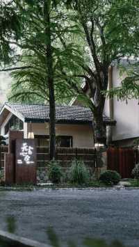 住進杭州良渚水杉林，邂逅嚮往的生活