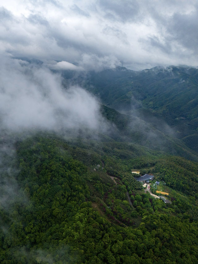 觀雲民宿，孩子的自然課堂  暑假了，跟媽媽一起來到見吾鄉・觀雲度假酒店，這裡搖身一變成為生動的自然課