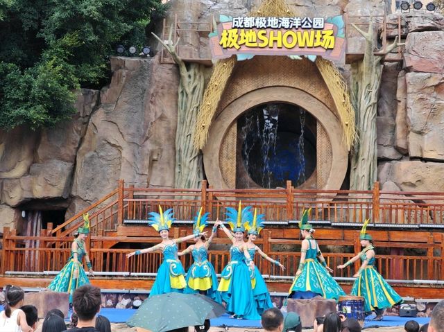 成都極地海洋公園深度漫遊指南｜避開人潮的私房攻略