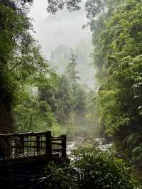 峨眉山避坑指南｜本地人私藏2日精華路線