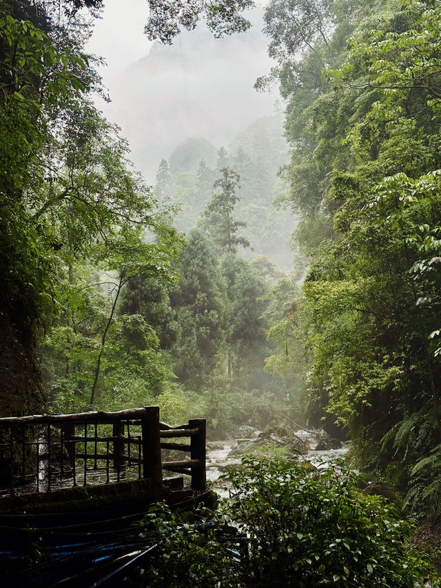 峨眉山避坑指南｜本地人私藏2日精華路線