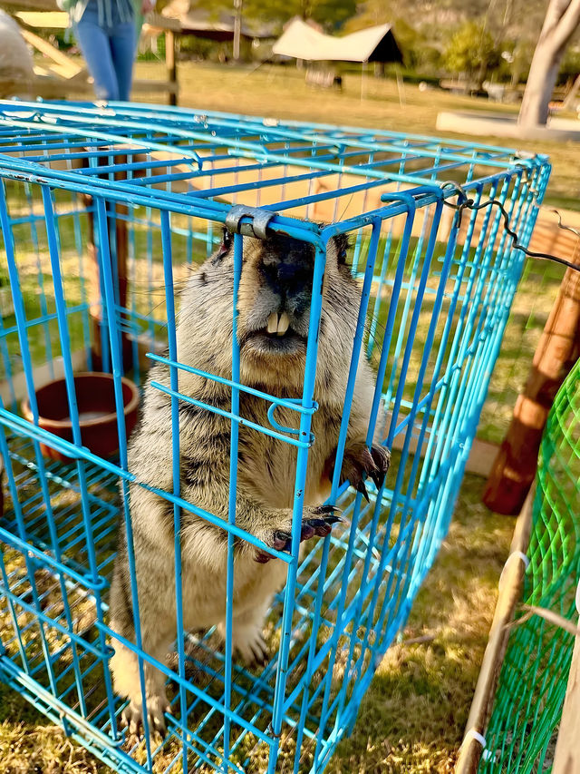 漳州溪山年華樂園："樂園幻境"