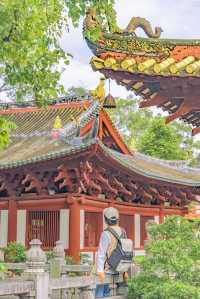 廣州光孝寺拍照打卡全攻略，超絕機位速收藏