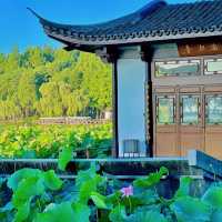 杭州西湖西線避暑一日遊攻略，打卡夏日裏的吸氧秘境