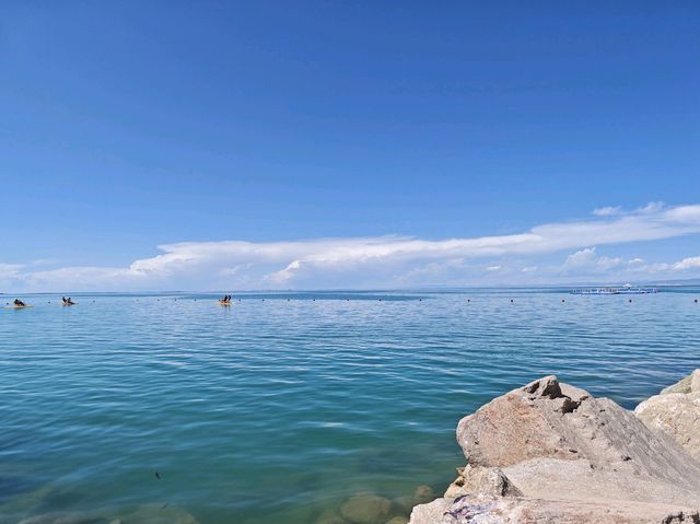 青海湖七月藍黃奇境