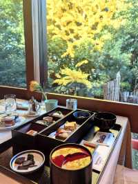 奈良秘境 · 春日山原始林城堡