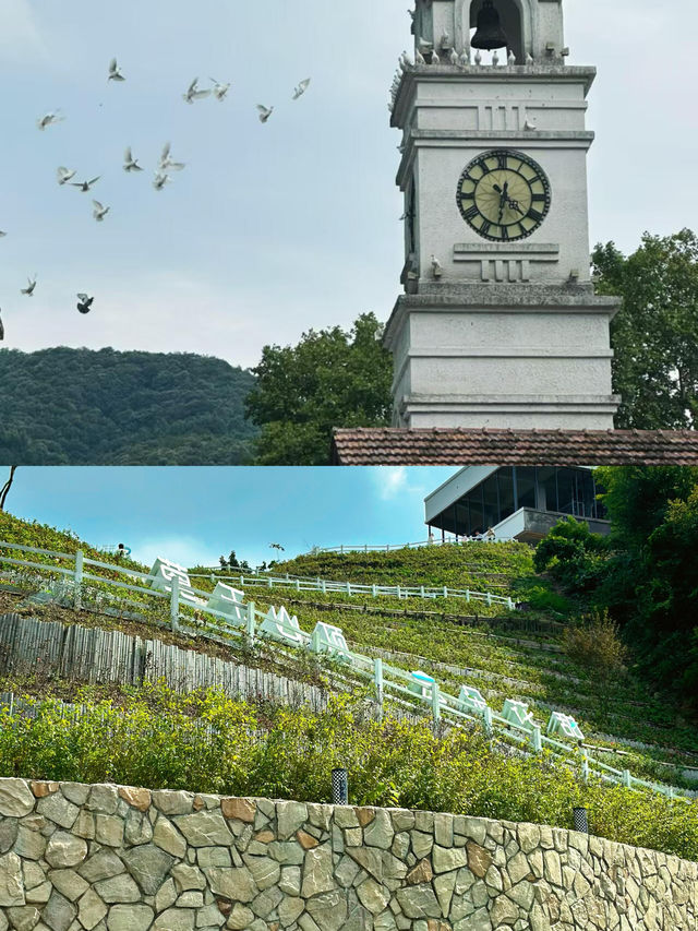 德清避暑之旅：兩日清涼奇遇