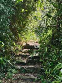 寧波秘境虹嶺古道·綠野仙蹤般的溯溪天堂