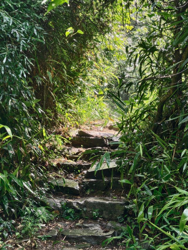 寧波秘境虹嶺古道·綠野仙蹤般的溯溪天堂