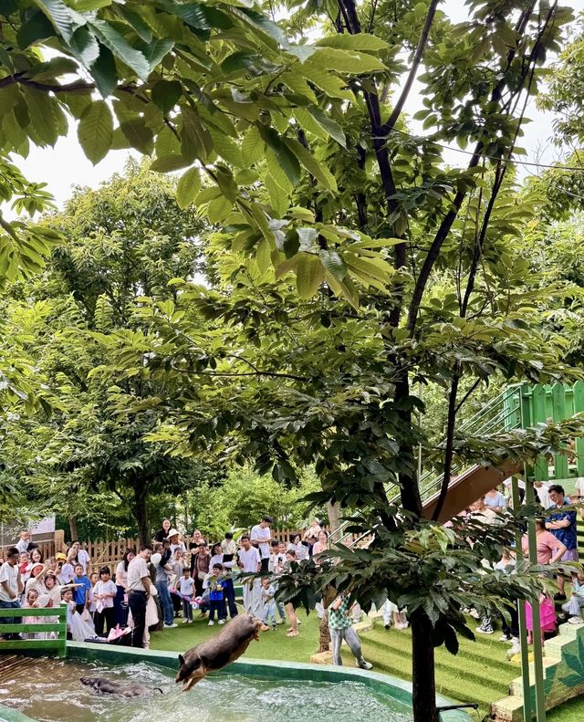 昆明摩洛哥藍色小鎮遛娃影相兩不誤