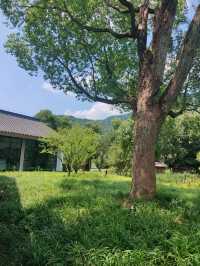 龍門古鎮-一個低調卻好有味道嘅古鎮美