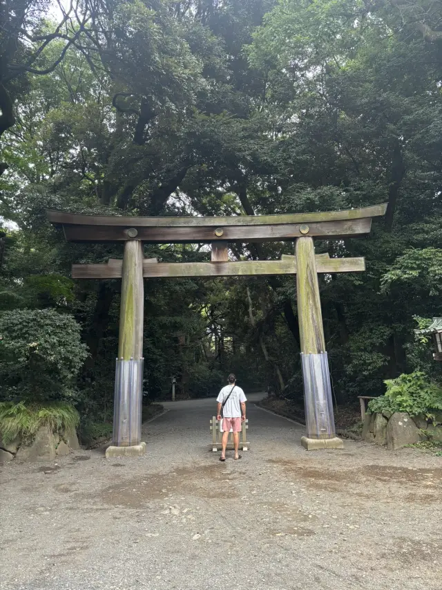 東京五日遊亮點