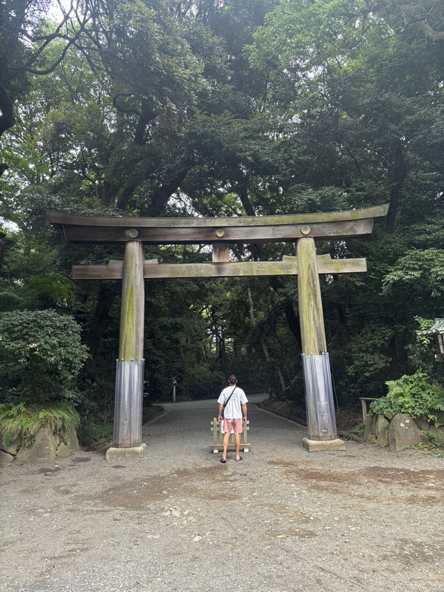 Highlights of Tokyo for 5 days: 