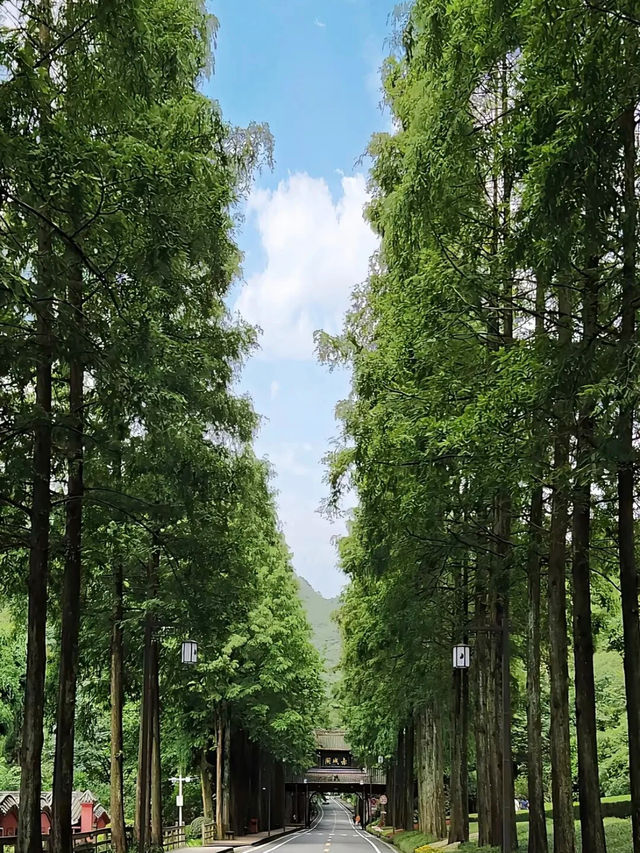 避世指南 | 青城山3日2夜輕徒步攻略