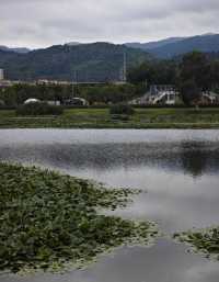 滇池私密觀景台曝光