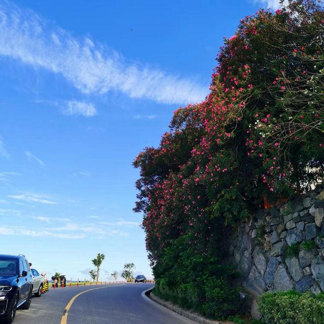 舟山｜吹住海風暢遊朱家尖，呢條環島公路靚到尖叫