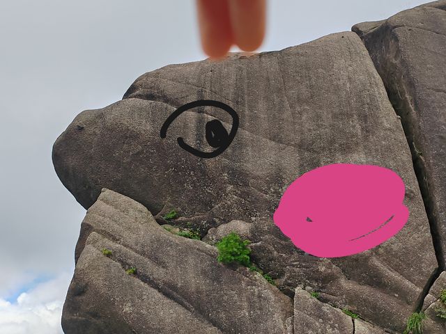 不費力黃山一日遊