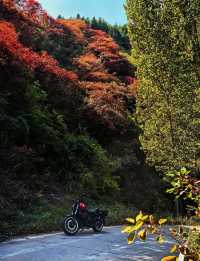 泉城後花園秘境