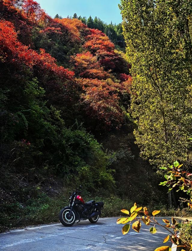 泉城後花園秘境 泉城後花園秘境