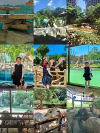 湖州龍之夢動物園全攻略｜親子/情侶/長者遊玩指南