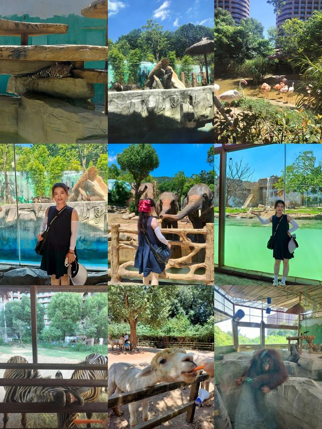 湖州龍之夢動物園全攻略｜親子/情侶/長者遊玩指南