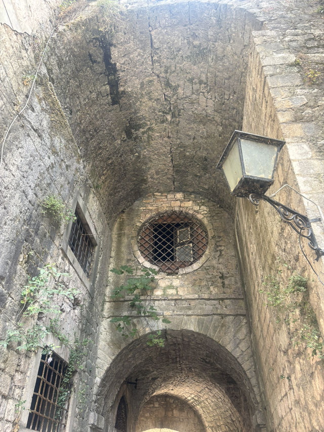 Kotor in one day  Kotor in one day