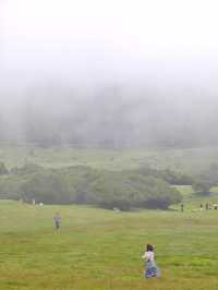 重慶仙女山，邂逅南國草原，探秘原始森林