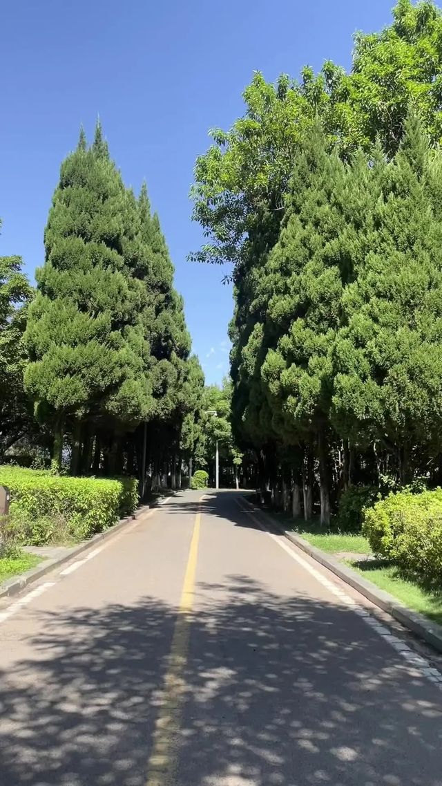 國慶逃離人潮！西昌這座小城的浪漫，藏不住了