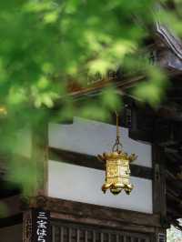 A hidden serene heaven moments from Osaka