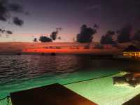 Vilu Reef: A Fourth Adventure in the Maldives