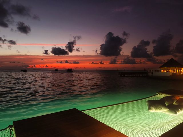 Vilu Reef: A Fourth Adventure in the Maldives