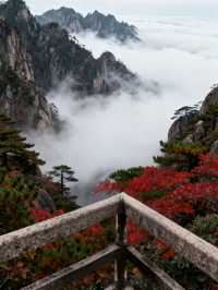 山河染秋霜，一步一詩行｜中式美學追秋地圖全攻略