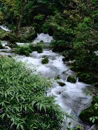 荔波小七孔1日遊|人間綠寶石真的絕美！