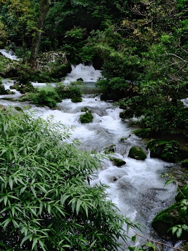 荔波小七孔1日遊|人間綠寶石真的絕美！