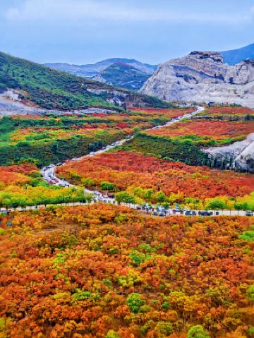 秋の紅葉狩りの秘境をぜひ保存してください