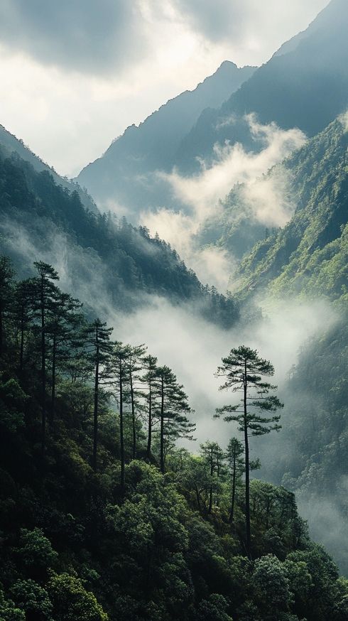 堪比香山紅葉的地方—四川光霧山