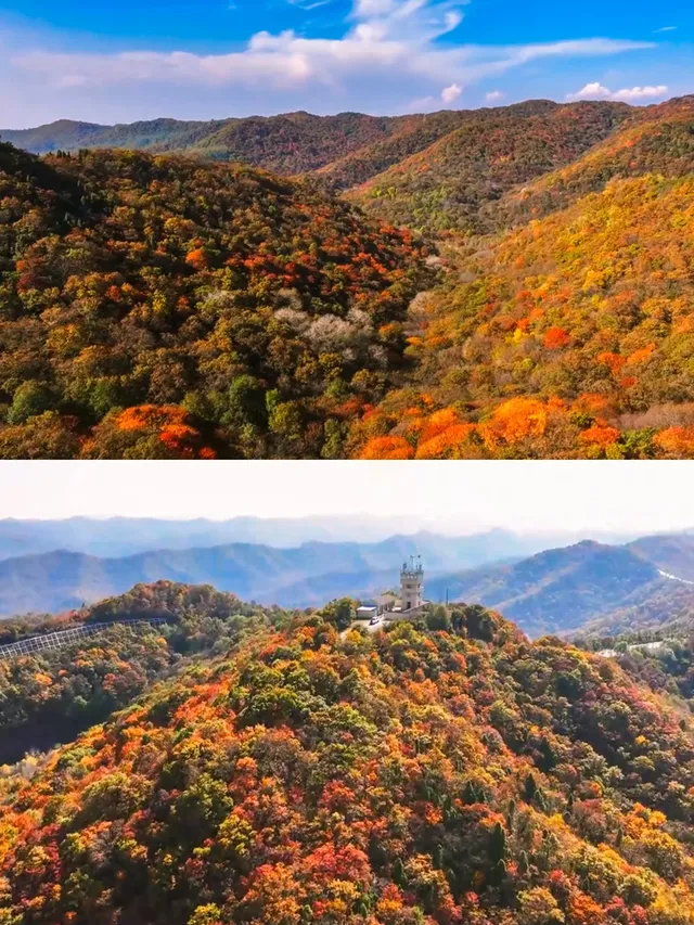 西安1.4h被嚴重低估的賞紅葉秘境
