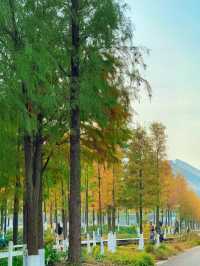 |欽州白石湖公園