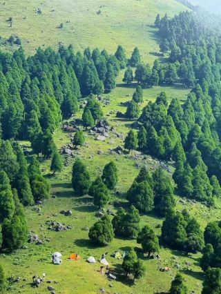 六五頂徒步 | 廣東版阿勒泰，美到窒息的高山草甸！