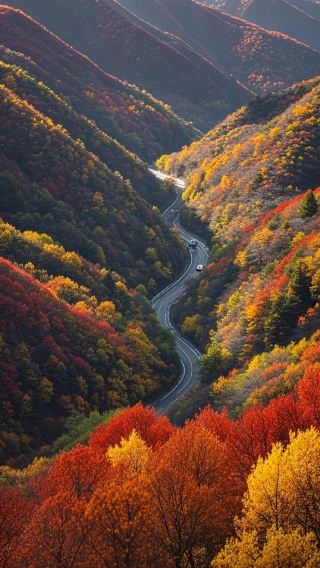 Breaking into the “Flaming Mountain” deep in the Qinling Mountains, hiding the wildest autumn in Chang’an