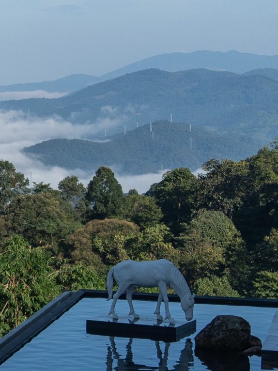 版納的山野裡 我住進了夢中的奢隱烏托邦