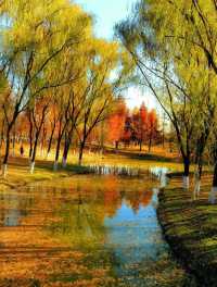 秋日限定西安浐灞濕地公園美翻了免費童話秘境打卡攻略