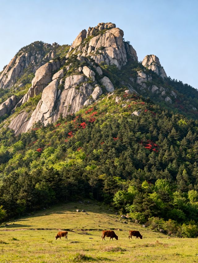黃岡3日遊 | 大別山與赤壁經典組合・全人群適配攻略