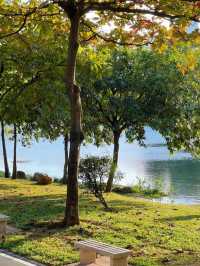 地鐵直達｜深圳小眾野餐露營公園